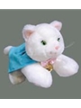 Music For Little Mozarts Clara Schumann Cat