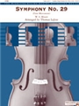 Symphony #29