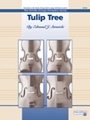 Tulip Tree