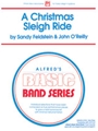 Christmas Sleigh Ride