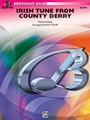 Irish Tune From County Derry