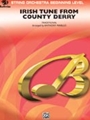 Irish Tune From County Derry
