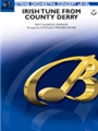 Irish Tune From County Derry