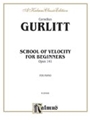 School Of Velocity For Beginners