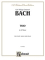 Trio In B Minor