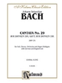 Cantata #029