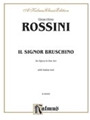Il Signor Bruschino
