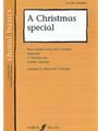 Christmas Special, A
