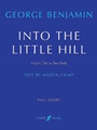 Into the Little Hill