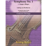 Symphony No. 1: Mvt. 1 for String Orchestra [String Orchestra]