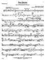 Don Quixote [2+1, 2+1, 2+1+Eb, 3+1 - 6, 3, 3, 2, timp, perc, hp, str, solo cello in set]