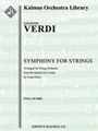 Symphony For Strings  In E Minor