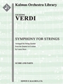Symphony For Strings  In E Minor