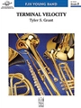 Terminal Velocity