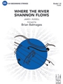 Where the River Shannon Flows