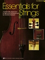 Essentials For Strings