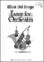 Essay For Orchestra