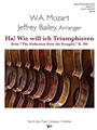 Ha! Wie will ich Triumphieren from “The Abduction from the Seraglio,” K. 384