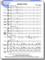 Aruba Tuba