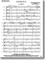 Sonata In G  (Largo & Allegro)