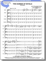 Barber Of Seville (overture)