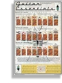 Guitar Essentials - Poster