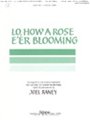 Lo How A Rose E'er Blooming