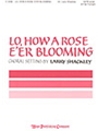 Lo How A Rose E'er Blooming