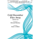Cold December Flies Away