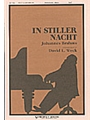 In Stiller Nacht