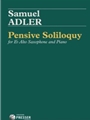 Pensive Soliloquy