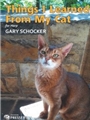 Things I Learned From My Cat For Solo Harp