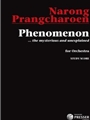 Phenomenon