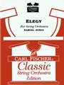 Elegy For String Orchestra