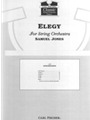 Elegy For String Orchestra