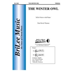 Winter Owl