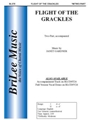 Flight Of The Grackles