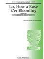 Lo How A Rose E'er Blooming