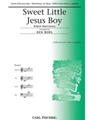 Sweet Little Jesus Boy