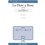 Lo How a Rose