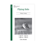 Flying Solo