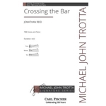 Crossing the Bar