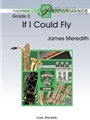 If I Could Fly