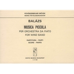 Musica piccola