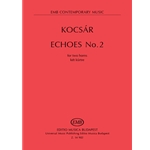 Echoes No. 2 for two horns