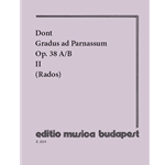 Gradus ad Parnassum Vol.1 30 intermediate exercises for violin with accompaniment of a second violin