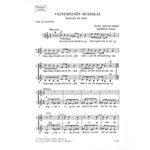 Vejnemojnen Makes Music