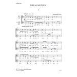 Tisza partjan
