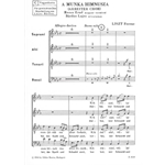Arbeiterchor (Workers' Chorus) in the transcription of Bardos L. for mixed voices