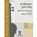 A Winter Journey